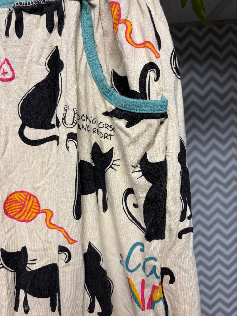 Lazy One Cream Lounge Pants with Black Cat Print and Teal Trim - Picture 3 of 4